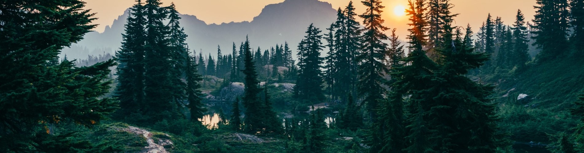 B05ad4e463518d8123ec0358ebab0fc25da04cb6